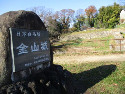 紅葉の太田日帰り旅行（ぐんまこどもの森→金山城跡→イオン太田）