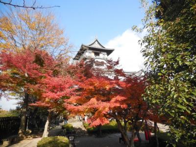 国宝犬山城。うわさ通り、紅葉と絶景が見事！