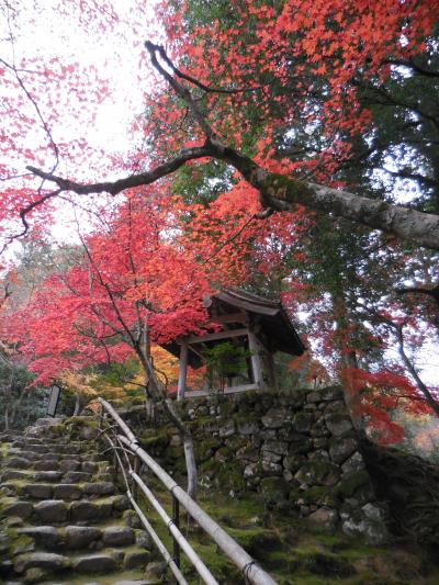 湖東紅葉の名勝、西明寺。紅葉と古刹の見事な共演でした。