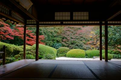 京都　詩仙堂　紅葉 20151113