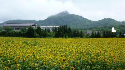 201007北海道旅行 第10回 最終日【登別・洞爺・函館】 