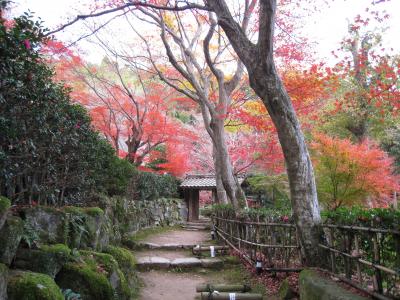 近江路　　　　教林坊・石馬寺・太郎坊宮・石塔寺・油日神社・櫟野寺