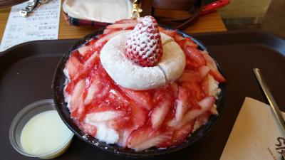 週末姉妹旅。ソウルを食べつくす。三日目。歳には逆らえない