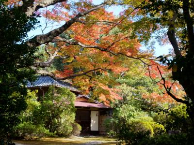 小田原、邸園を歩く