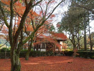 日帰り京都＊案外あった紅葉