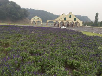 東京ドイツ村