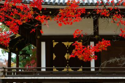 京都 仁和寺 紅葉 21051121