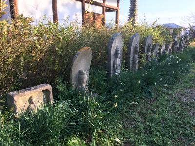 奈良マラソン2015（前日編）大会会場周辺を散策する