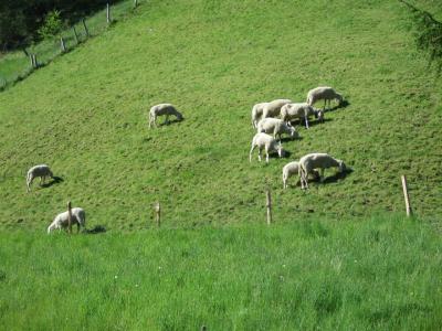 2011年、お孫ちゃま連れで、オーストリア＆スイスの旅  (1)ミュンヘン経由 チロル州「Matrei am Brenner」へ