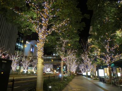 大　阪　光　の　饗　宴　２０１５「光が文化になる日」