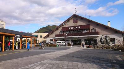 冬直前の日光で田母沢御用邸記念公園