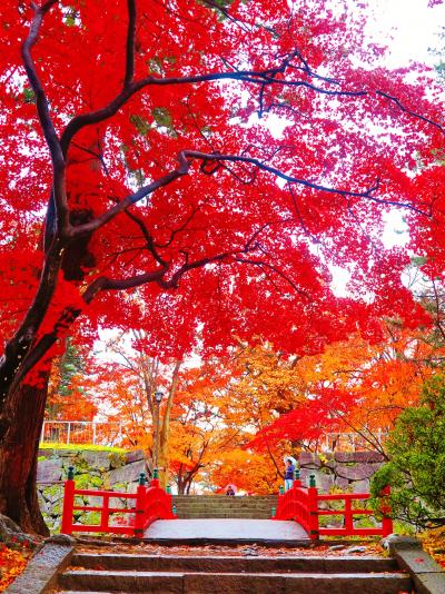 盛岡-5　盛岡城跡公園　紅葉に染まる石垣　☆本丸跡まで登って