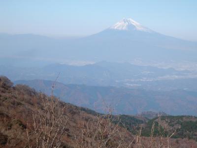 日本百名山・天城山と青木ヶ原樹海＜２＞　（天城山）