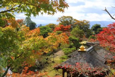 京都の御所と離宮(22) 秋の修学院離宮