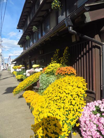 笠間-6　笠間稲荷 門前町・日動美術館辺り散歩　☆「そばいなり」の昼食