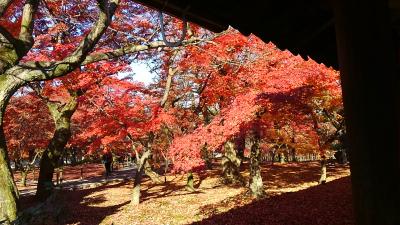 関西満喫の旅！『神戸・姫路・京都の旅』