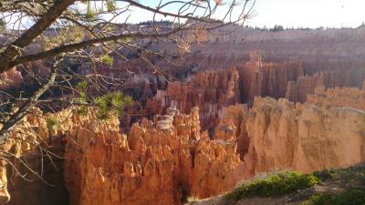 絶景グランドサークルの旅②(ザイオン～ブライスキャニオン編)