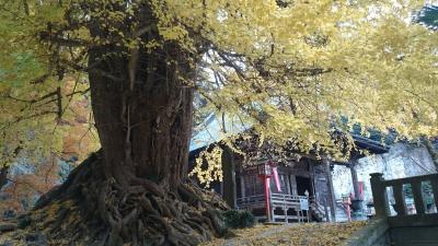 お散歩道・平和資料館・物見山公園・岩殿観音 in埼玉県・東松山