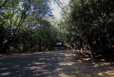 2015秋、氷上姉子神社（2/2)：氷上姉子神社、末社・元宮へ、参道、神明社、末社・元宮