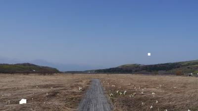 201204北海道旅行 第1６回 ３日目【礼文島】 