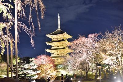 2015年　秋の京都と名古屋　その１