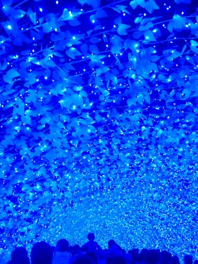 なばなの里6/6　冬華の競演　光のトンネル「青の世界」100ｍ　☆４色の青色LEDが変化