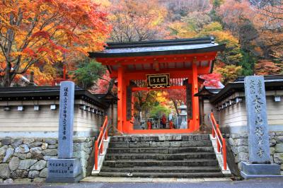 2015紅葉歩き～奈良県　みたらい渓谷～洞川温泉・龍泉寺　後半