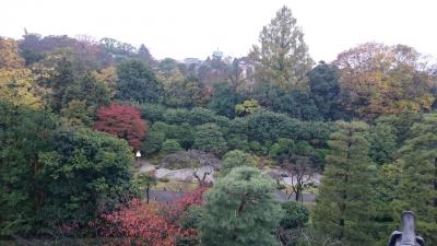 知恩院～長楽寺～正伝永源院～高台寺～圓徳院