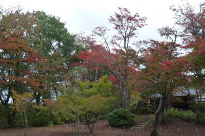 新潟県柏崎の松雲山荘と長岡もみじ園の少し早目の紅葉