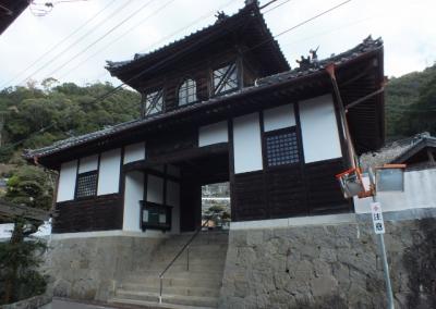 12月でも桜咲く閻魔を祭る寺