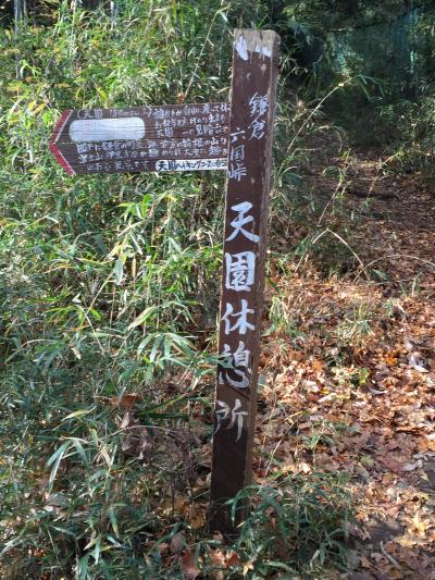 鎌倉カントリークラブ～天園～八幡宮散策