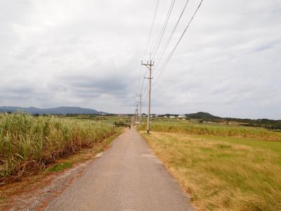 冬の八重山強運のひとり旅☆第一部～石垣島&小浜島～