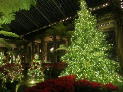 財閥の庭園でクリスマスを過ごす『Longwood Gardens』