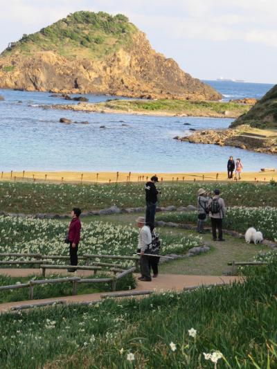 伊豆下田への旅①爪木崎水仙まつりへ