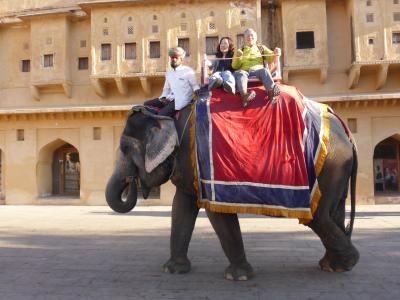 インド北西部14の世界遺産を巡る旅～象さんの背にゆられてアンベール城　＠　ジャイプール