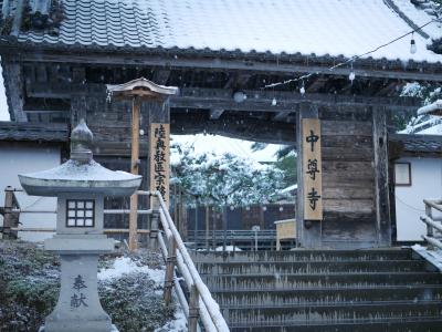 2015年 雪に包まれる世界遺産 平泉 中尊寺