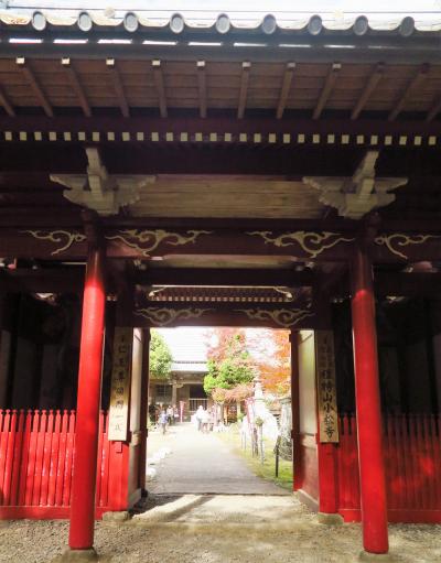 南房総-2  千倉　檀特山小松寺　仁王門～本堂参拝　☆紅葉の盛りどき