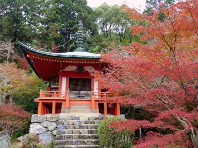 秋の京都への出張2-紅葉の醍醐寺を訪れる