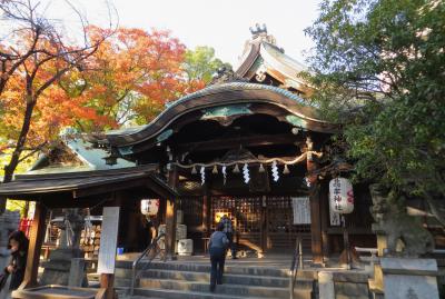 2015秋、今池の高牟神社(2/3)：拝殿、手水舎、石灯篭、社務所、鳥居、扁額、例大祭提灯