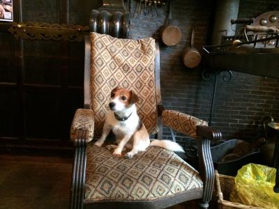 BELGIUM①《日帰りブリュージュに冒険！》