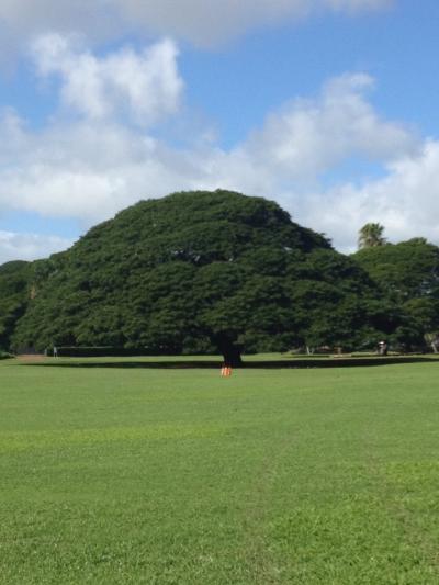 モアナルアガーデン バスでの行き方