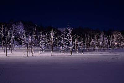 美瑛の青い池ライトアップと初めて出会えたダイヤモンドダストの輝きは想像以上に美しかった