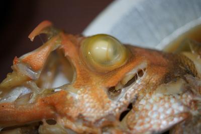 20151230 築地 最終開市日は、高はしさん、赤めばる煮付け → 高はしさん、さわら塩焼き