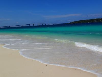 宮古島おひとりさまダイビング旅行