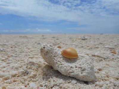 はての浜へ行こう！ Kume Island vol.1