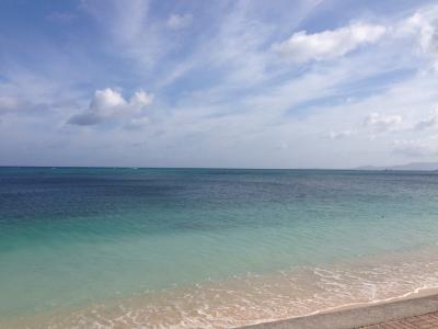 息子と2度目の沖縄旅行