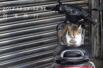 ●女友達と3泊4日年末初台湾旅！～②３日目台湾鉄道で猫の村猴トンと天燈の十分へ●