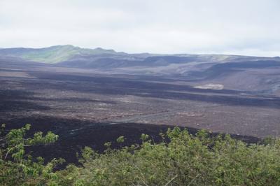 現役活火山のクレーターとしては世界第2位の大きさ！シエラ・ネグラ火山に登る！