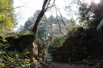 【観音寺城】近江六角氏の巨大山城　桑実寺から登る