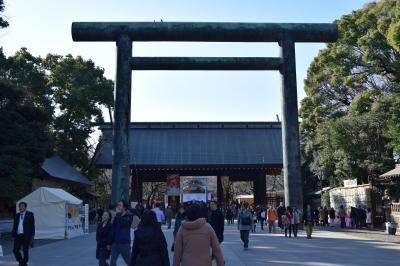 ぶらっと2016年お正月　～箱根駅伝復路観戦と靖国神社初詣～